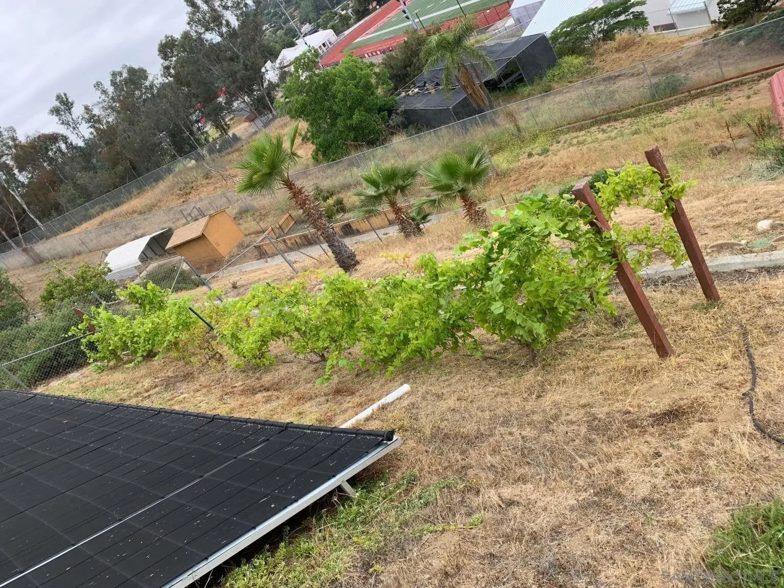 2327 Clearcrest Lane Fallbrook, CA 92028 - Photo 27 of 28 a view of a backyard with plants