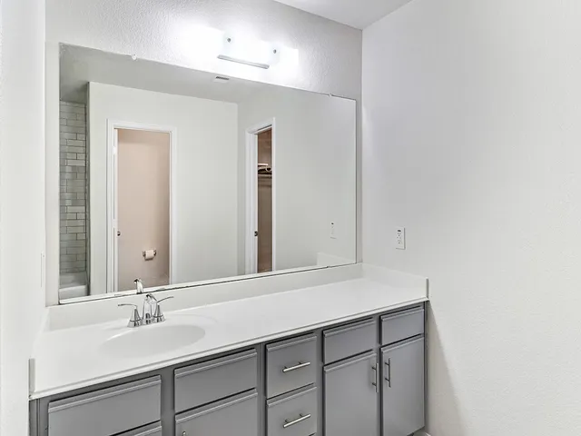 a bathroom with a sink and a mirror