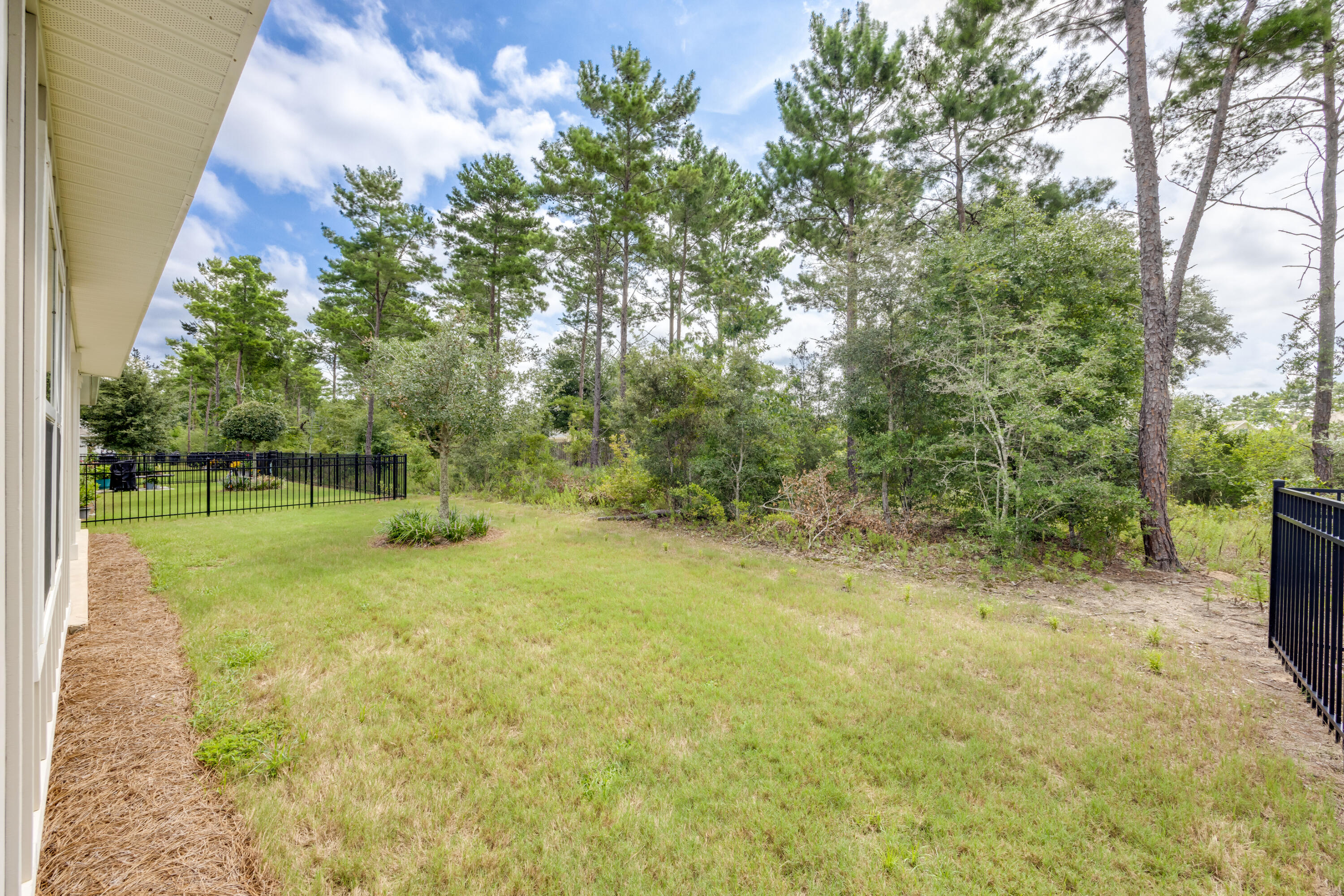 121 Lightning Bug Lane Freeport, FL 32439 - Photo 40 of 53 a view of a trees in a yard