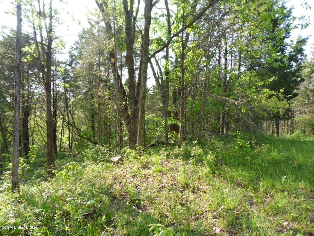 1025 Vaughn Road Lawrenceburg, KY 40342 - Photo 14 of 19 1609709_16