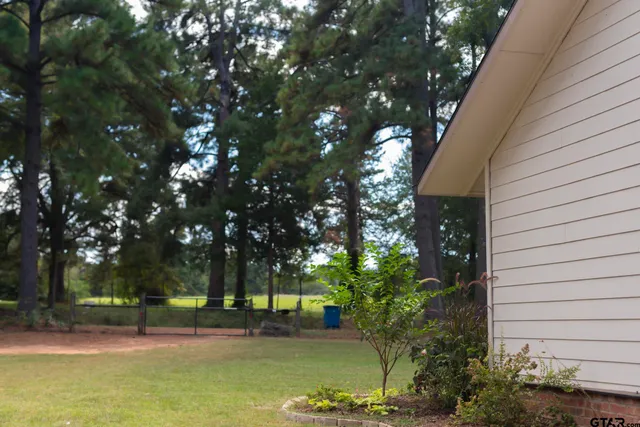 a view of backyard with green space