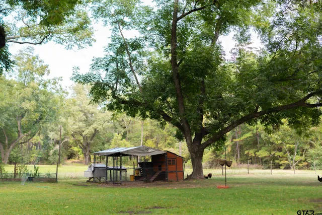 a view of a tree in a yard