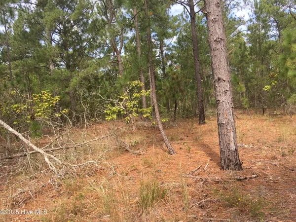$15,000 | Tbd Plank Road, Robbins, NC 27325