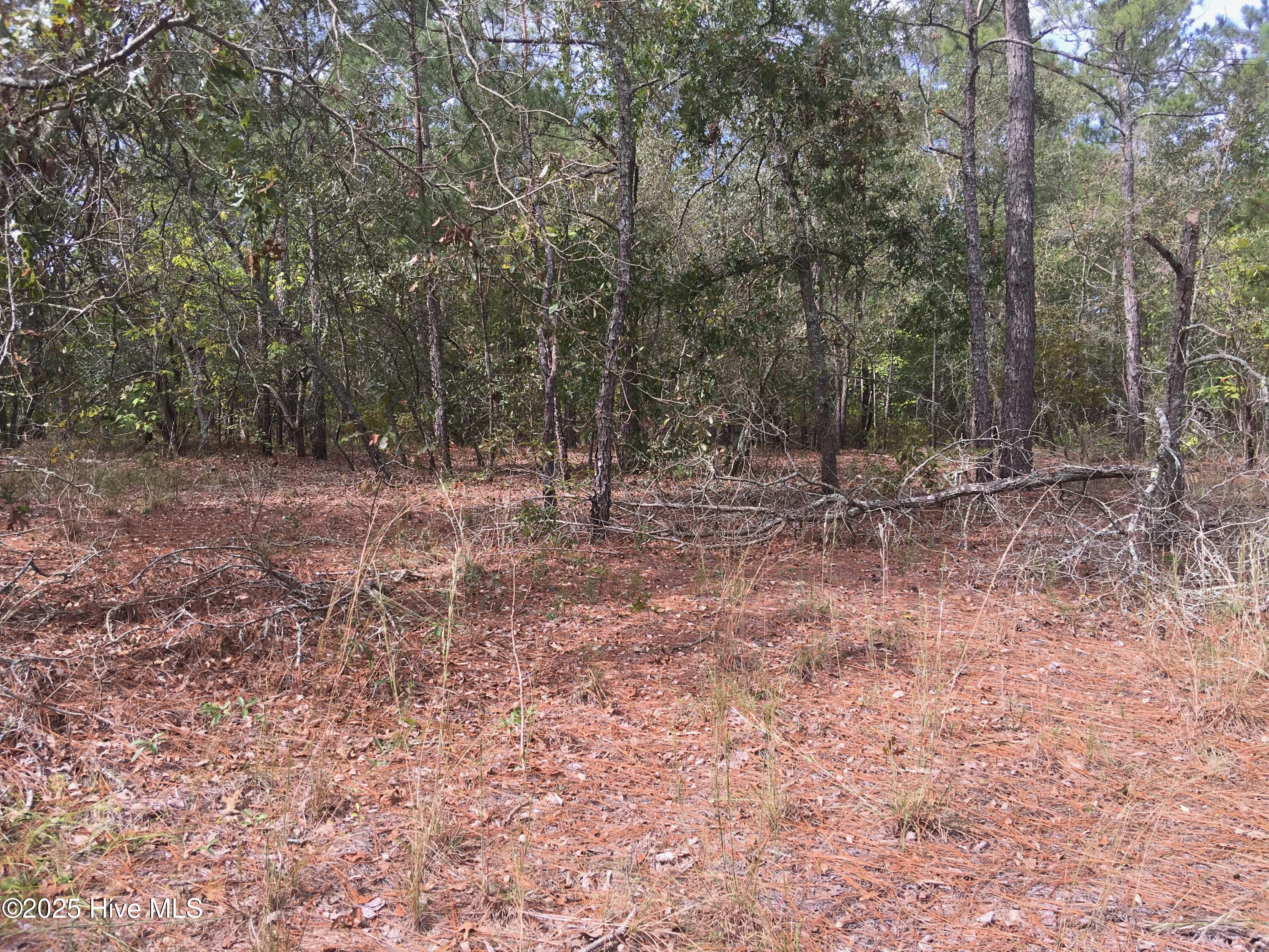 Tbd Plank Road Robbins, NC 27325 - Photo 2 of 4 IMG_1526
