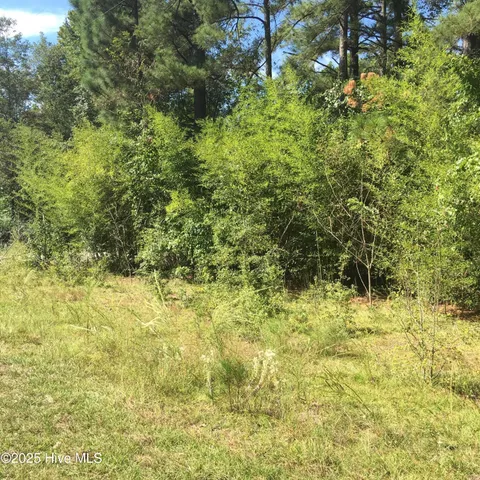 $15,000 | Tbd Plank Road, Robbins, NC 27325