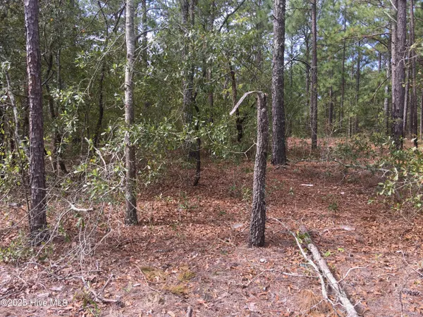 $15,000 | Tbd Plank Road, Robbins, NC 27325