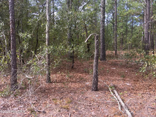 $15,000 | Tbd Plank Road, Robbins, NC 27325