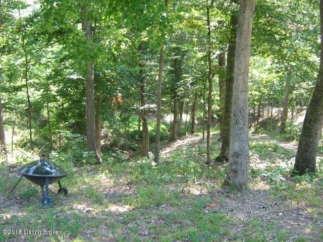 Lot 7-3 Mayflower Road Leitchfield, KY 42207 - Photo 5 of 10 20140501182907525608000000-o