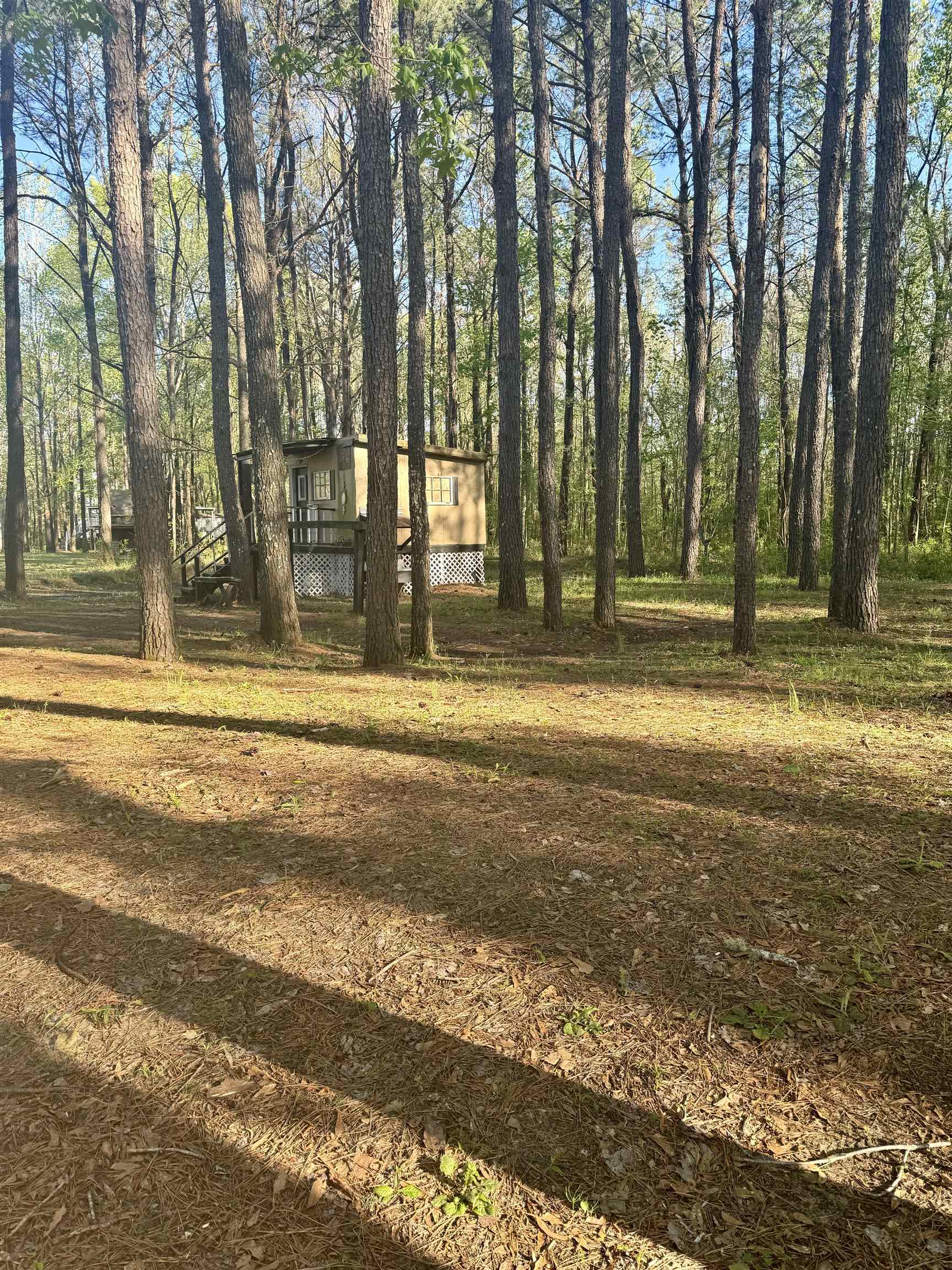 3831 Eureka Landing Road Uriah, AL 36480 - Photo 21 of 25