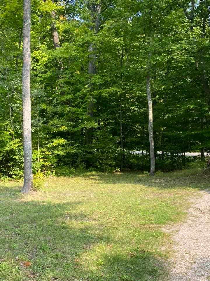 3355 Lund Road Southwest Fife Lake, MI 49633 - Photo 36 of 48 1880084-37.JPG