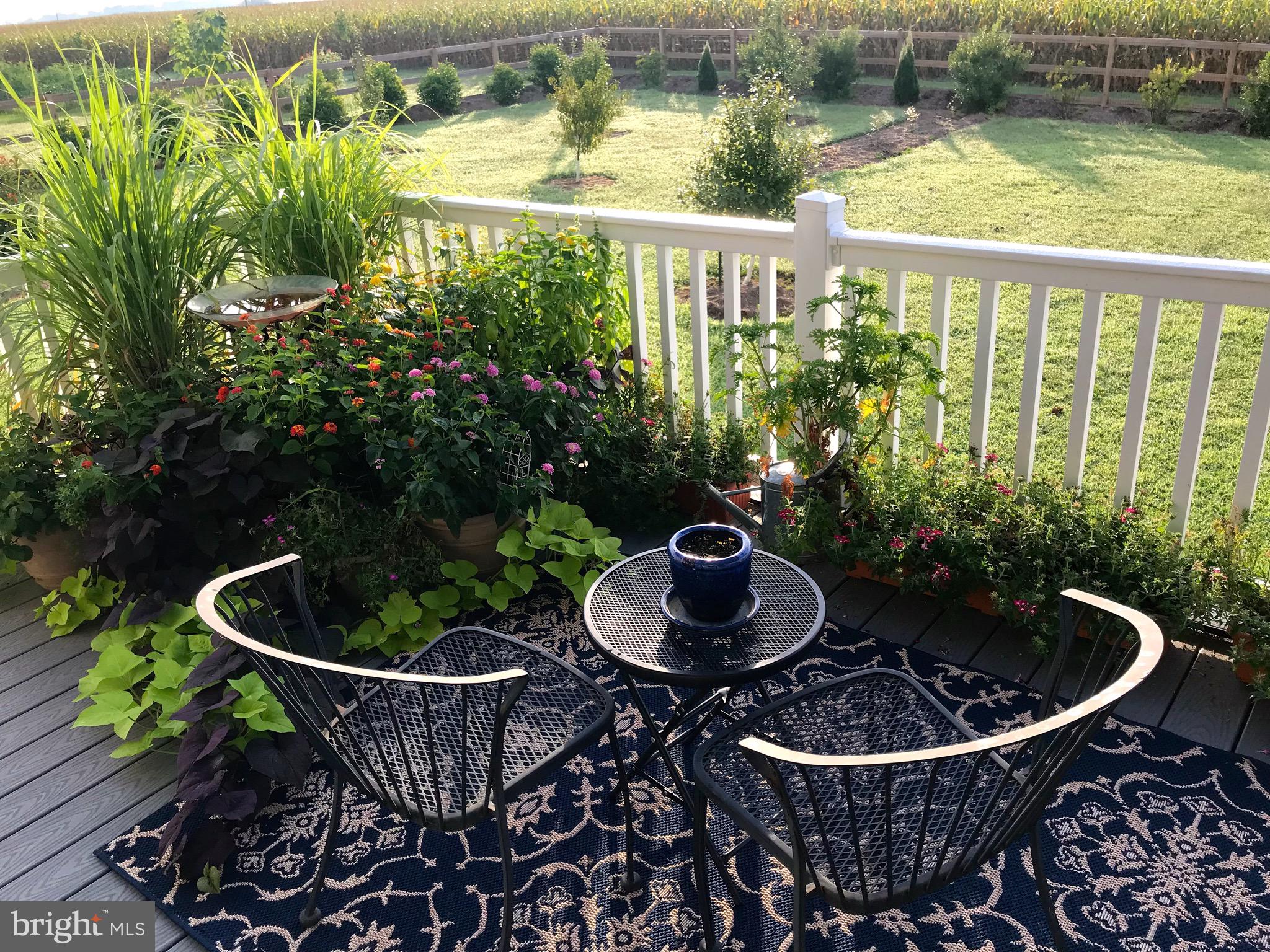 203 Three Pines Road Queen Anne, MD 21657 - Photo 13 of 63 Back deck with a peaceful view!