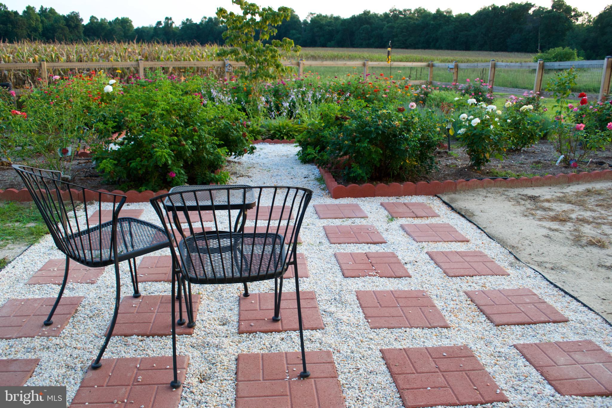 203 Three Pines Road Queen Anne, MD 21657 - Photo 5 of 63 Custom patio & landscaping