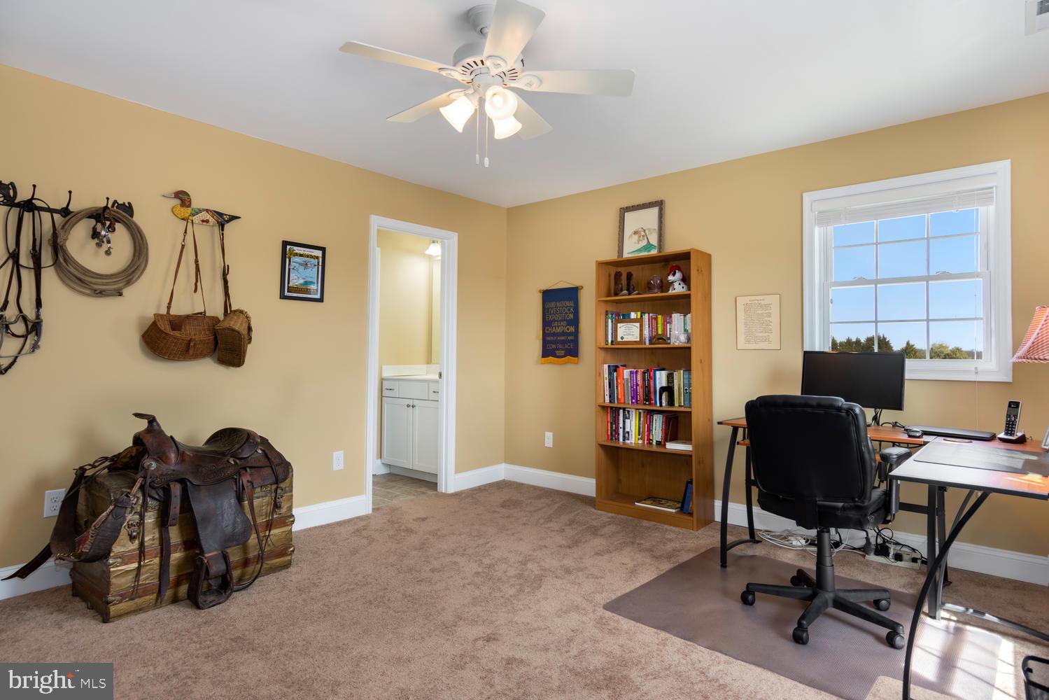 203 Three Pines Road Queen Anne, MD 21657 - Photo 50 of 63 Gallery Image 50