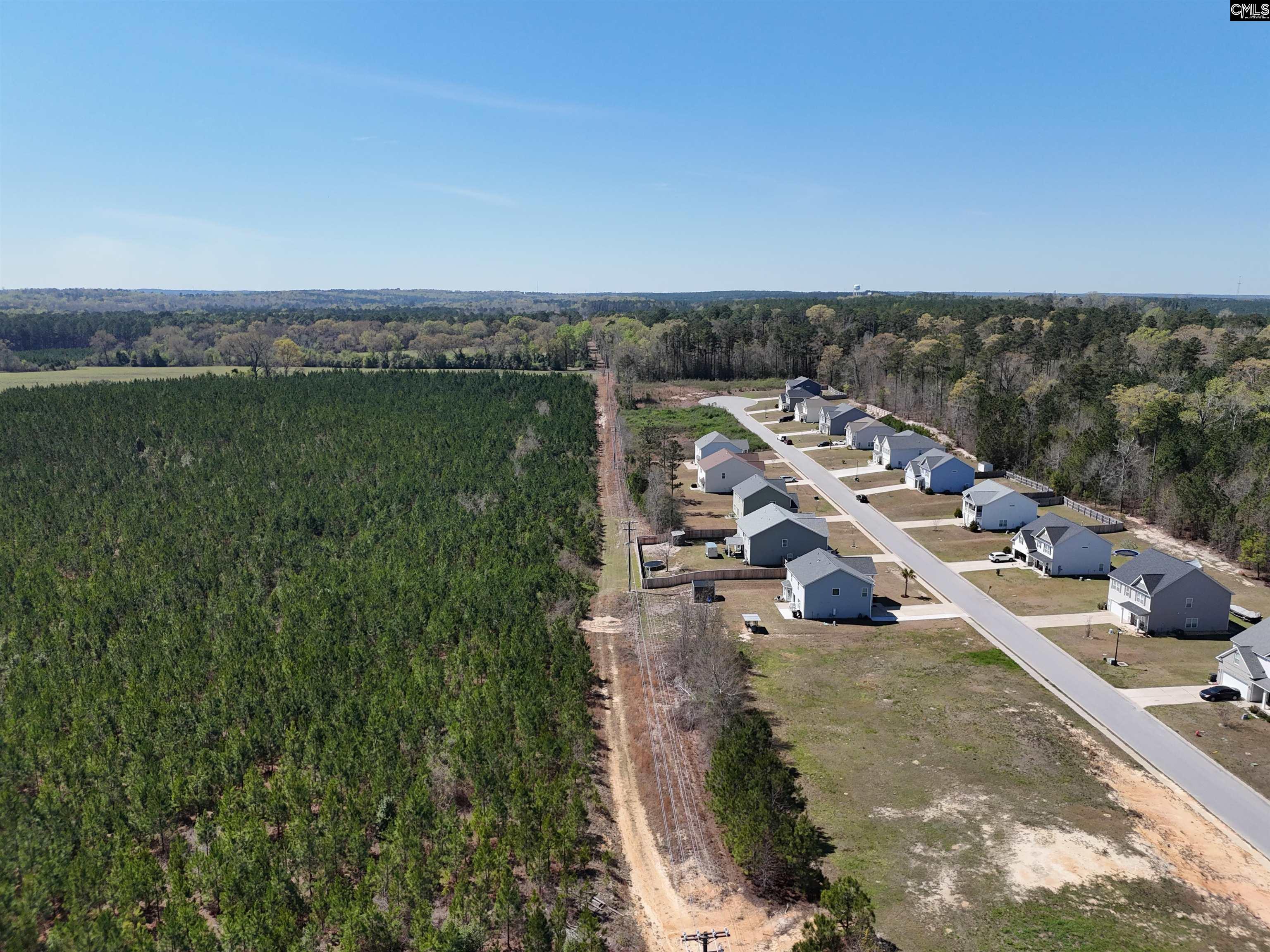 114 Tall Pines Road Gaston, SC 29053 - Photo 38 of 43