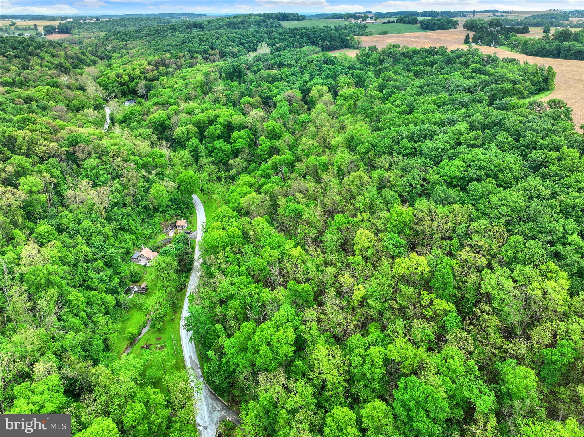 13127 Manor Furnace Road Brogue, PA 17309 - Photo 68 of 78 a view of a lush green forest with lots of trees