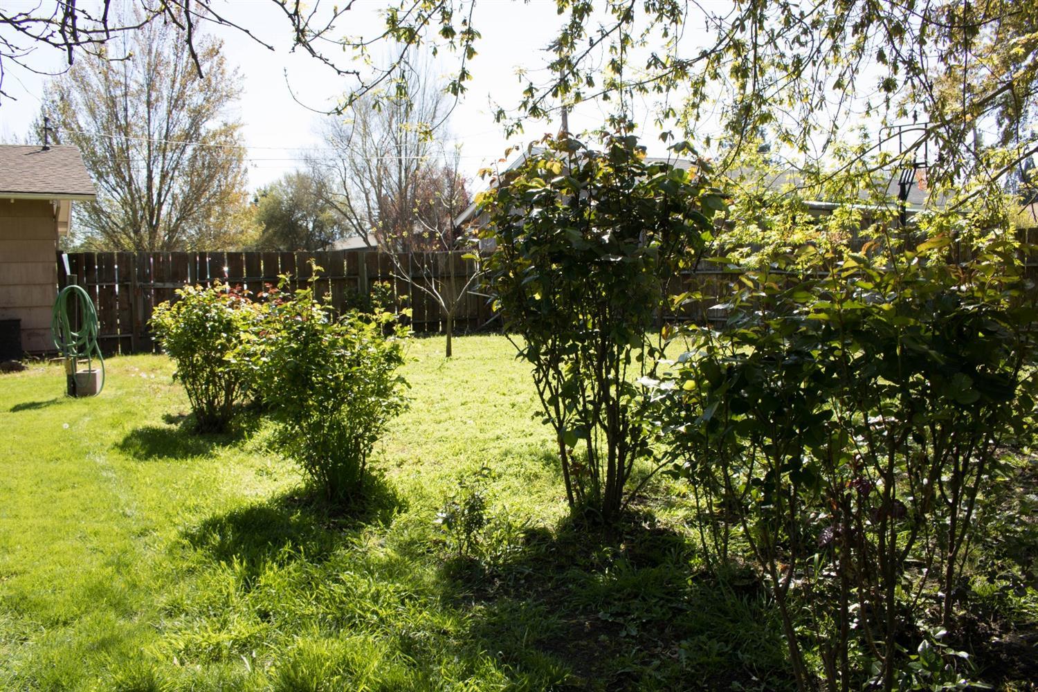 2613 Table Rock Road Medford, OR 97501 - Photo 17 of 23 a view of yard with large trees