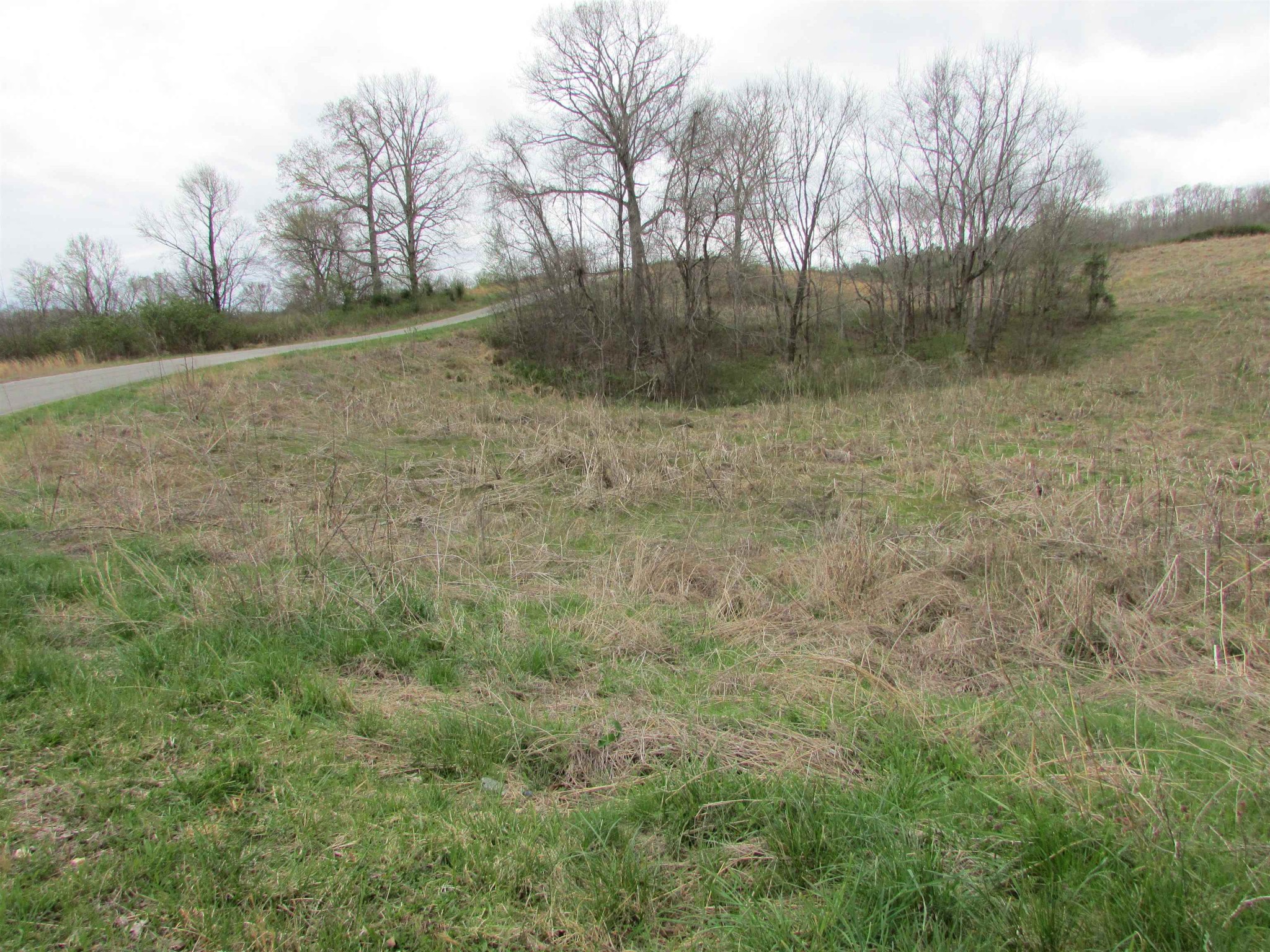 0 Ross Creek Road Clifton, TN 38425 - Photo 1 of 5