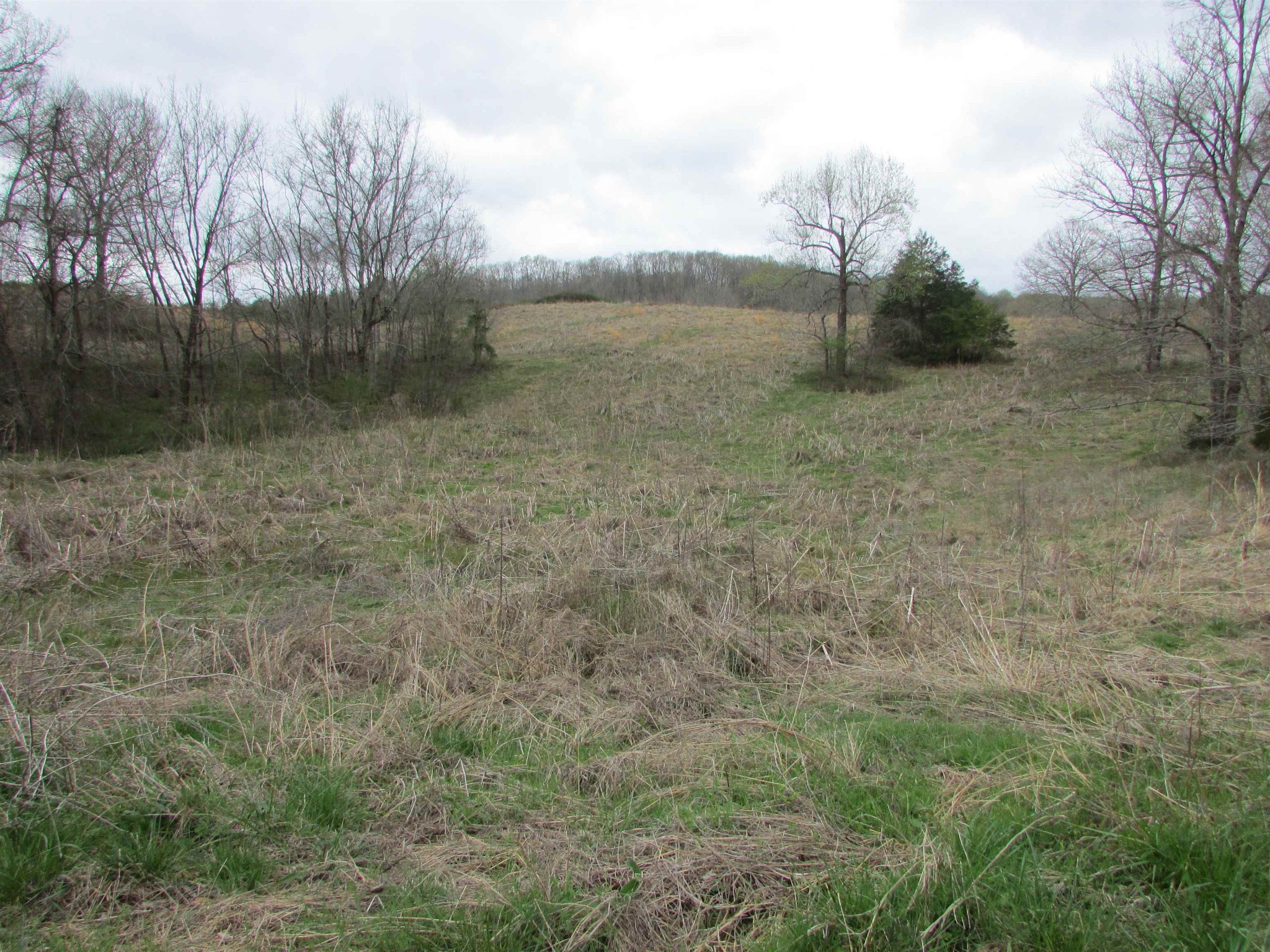 0 Ross Creek Road Clifton, TN 38425 - Photo 2 of 5