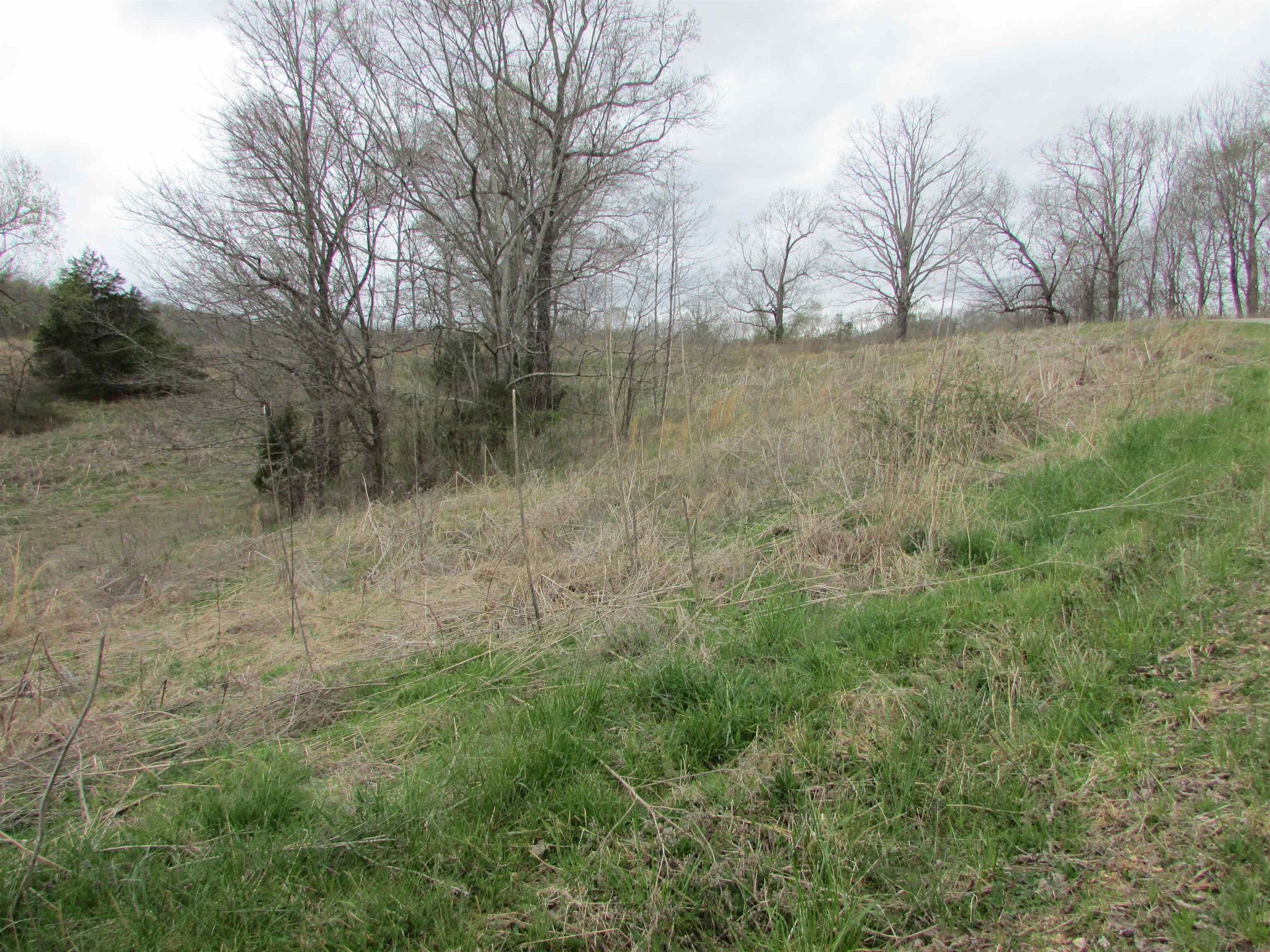0 Ross Creek Road Clifton, TN 38425 - Photo 3 of 5