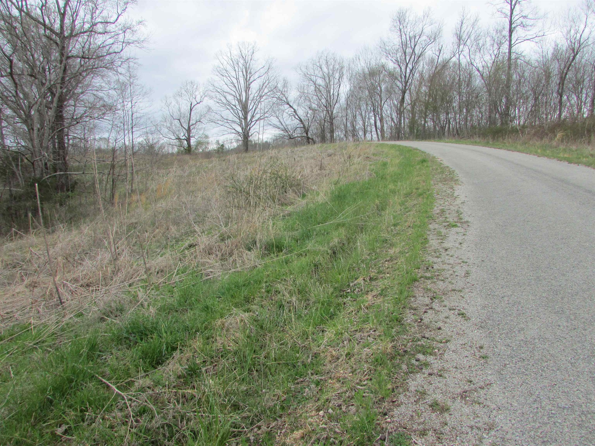 0 Ross Creek Road Clifton, TN 38425 - Photo 5 of 5