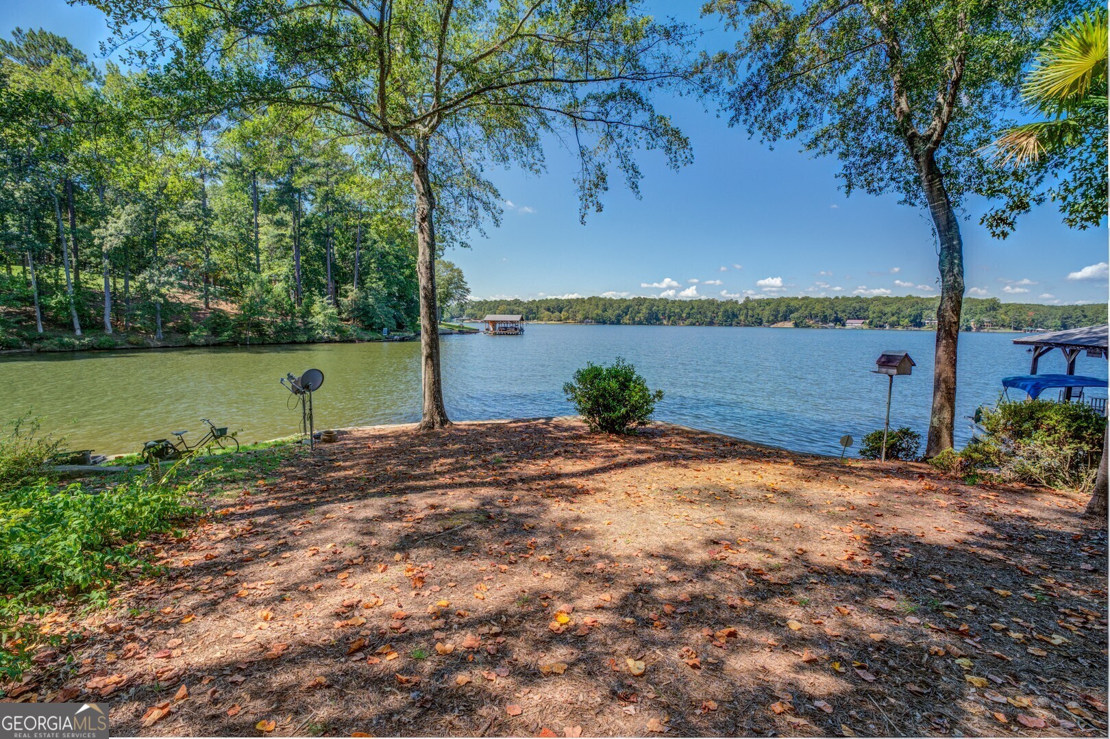 766 Raven Road Monticello, GA 31064 - Photo 12 of 59 a view of a lake with a lake