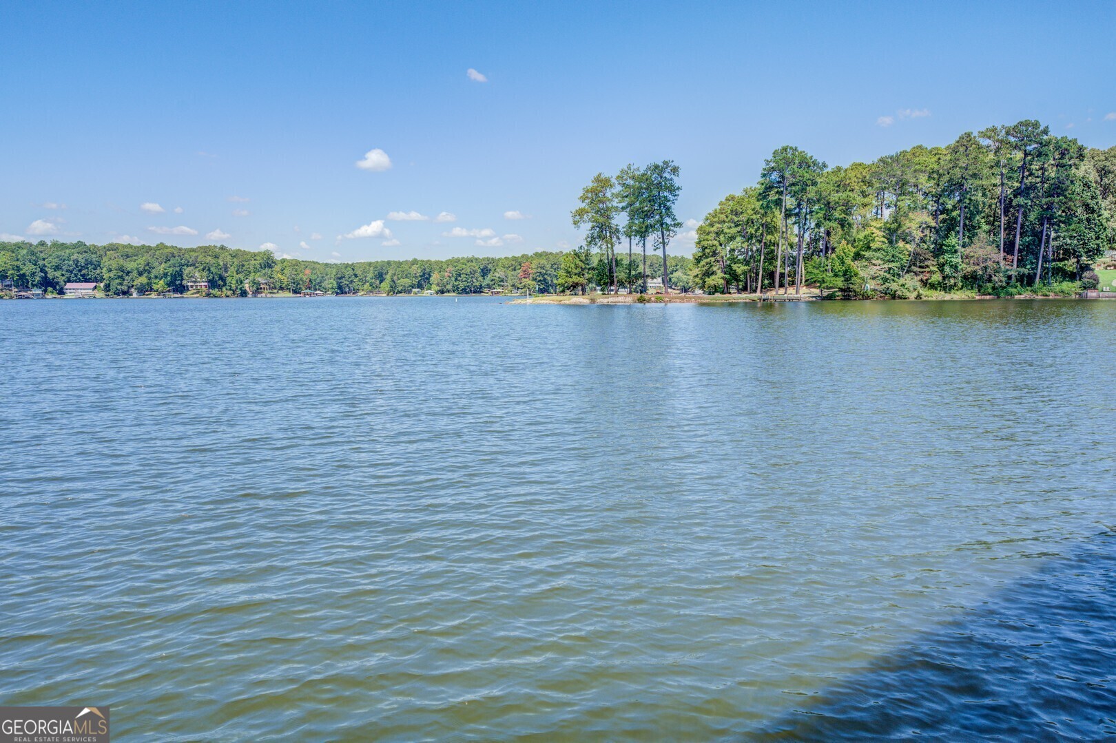 766 Raven Road Monticello, GA 31064 - Photo 15 of 59