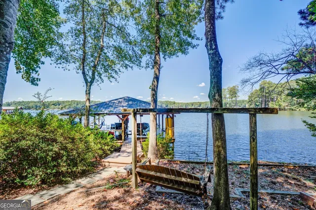 a view of a yard with plants and a large tree