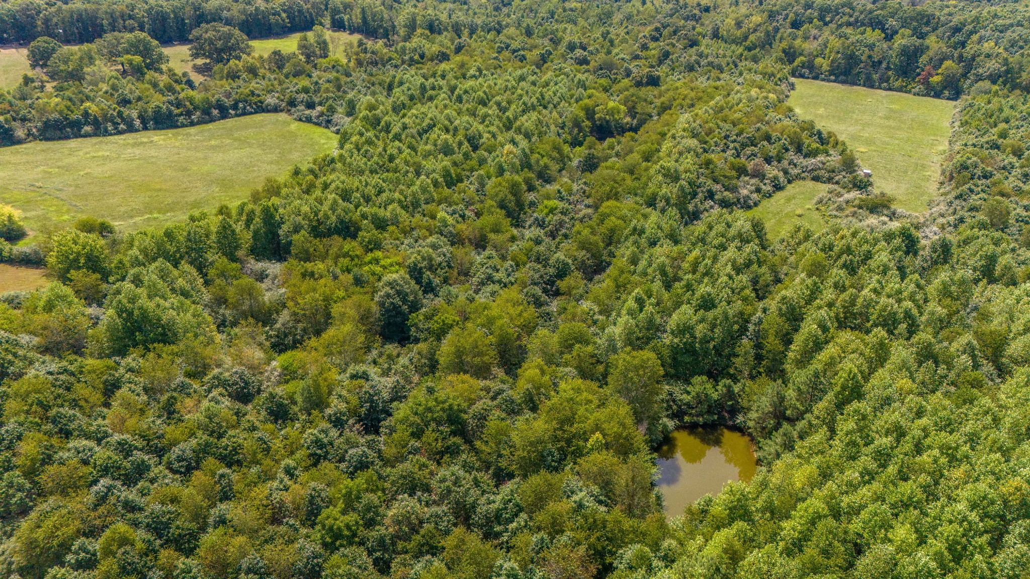 25 Hall Road Lawrenceburg, TN 38464 - Photo 27 of 37 Gallery Image 27