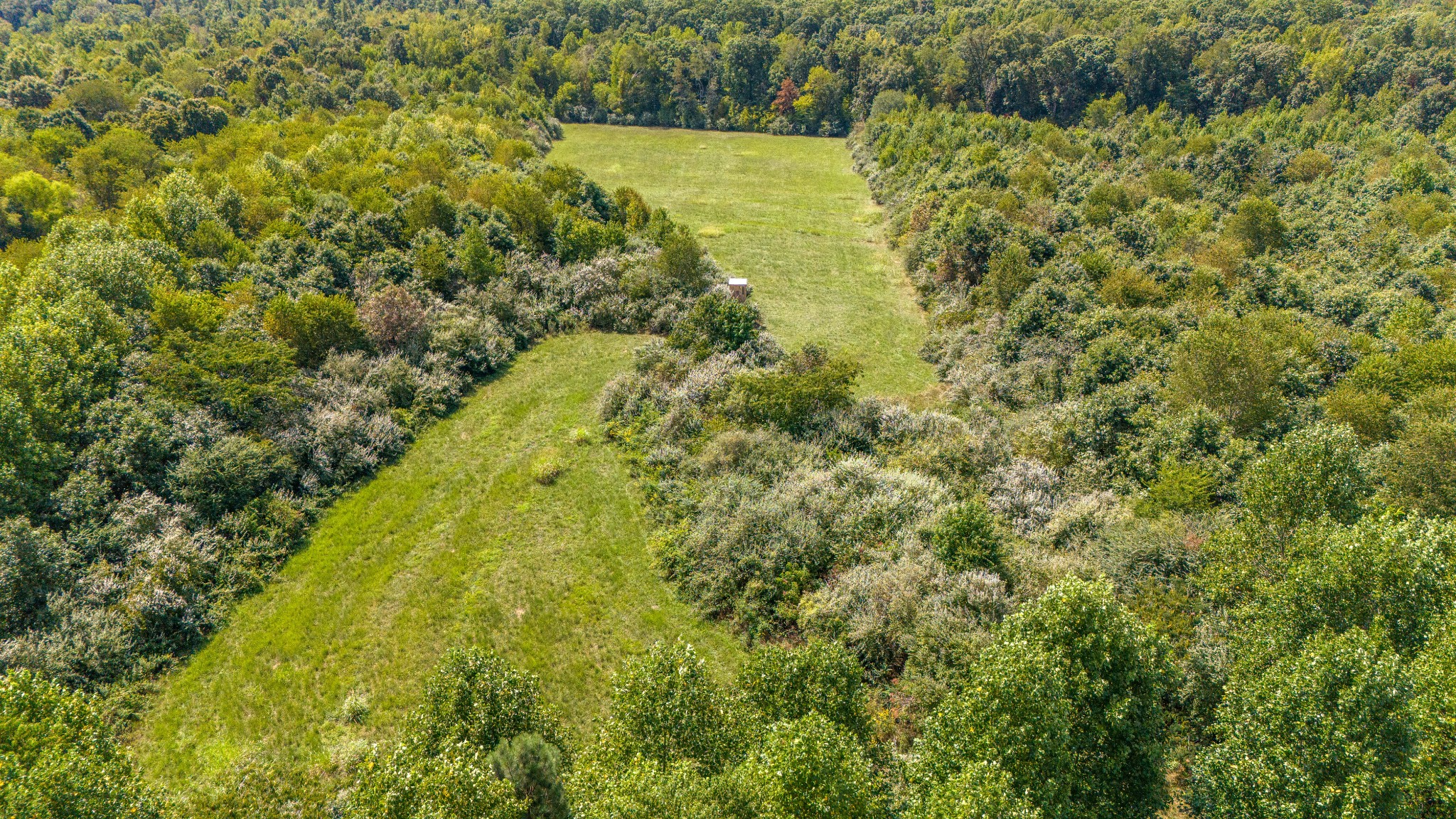 25 Hall Road Lawrenceburg, TN 38464 - Photo 28 of 37 Gallery Image 28