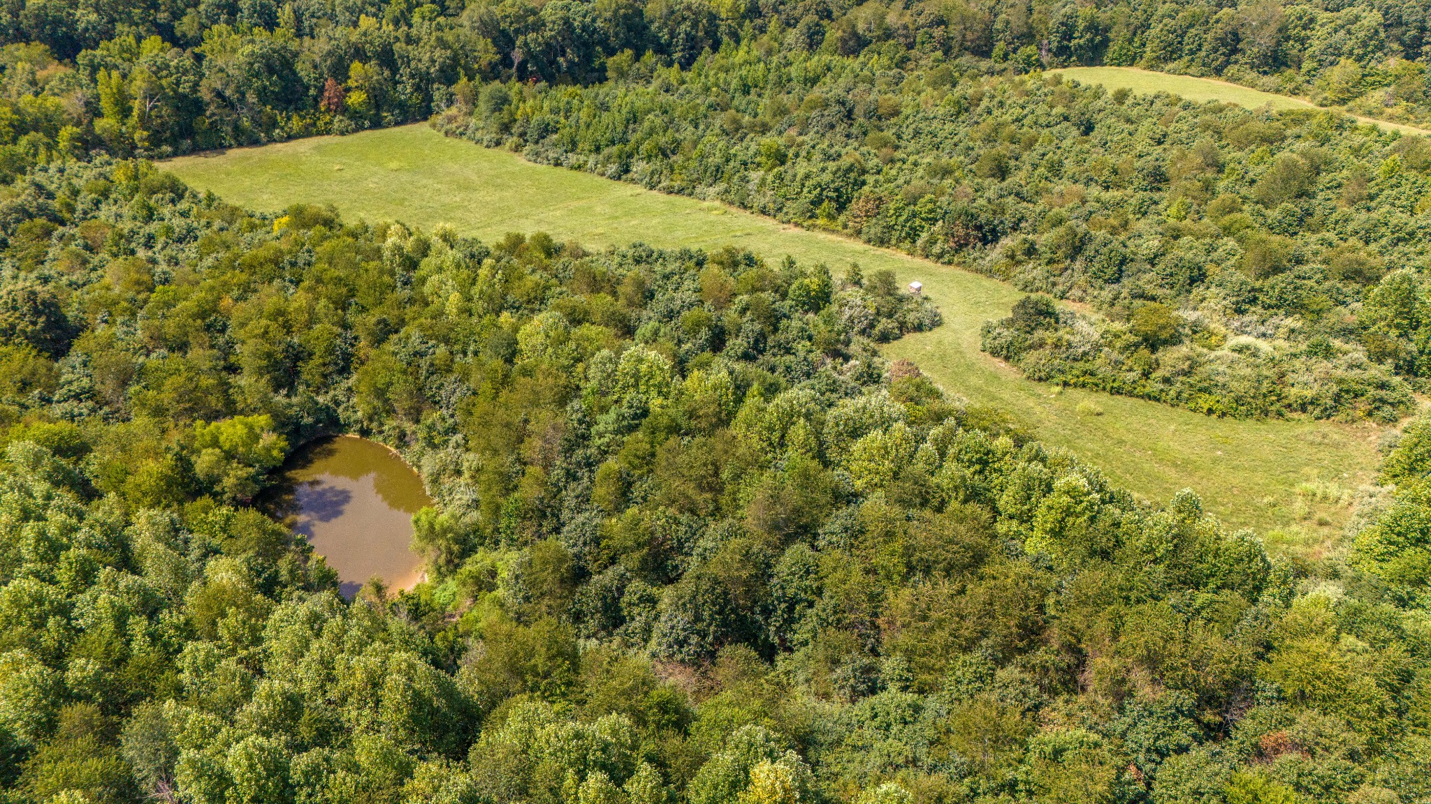 25 Hall Road Lawrenceburg, TN 38464 - Photo 29 of 37 Gallery Image 29