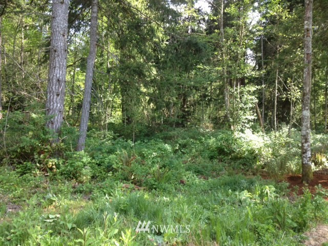 9012 Johnson Road Anderson Island, WA 98303 - Photo 1 of 1