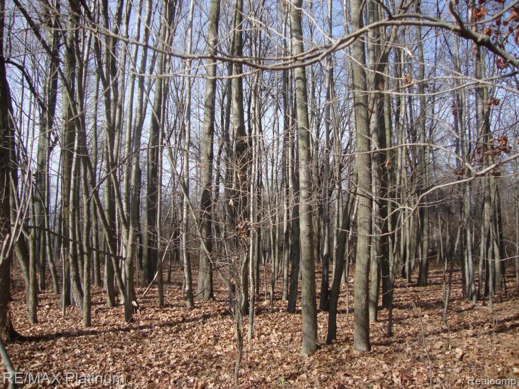 Vac West Iosco Road Fowlerville, MI 48836 - Photo 6 of 13