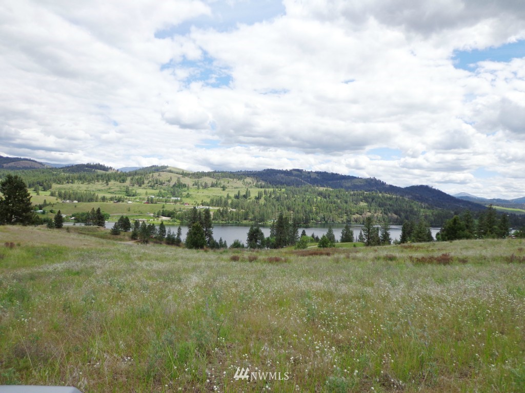 3-4 West Curlew Lake Road Republic, WA 99166 - Photo 1 of 1 Gallery Image 1