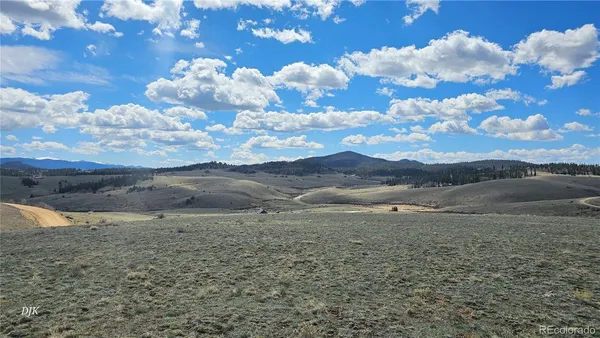 a view of a dry yard