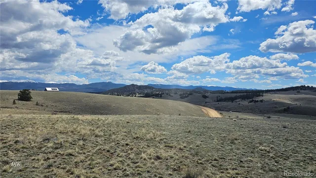 a view of dirt field with trees