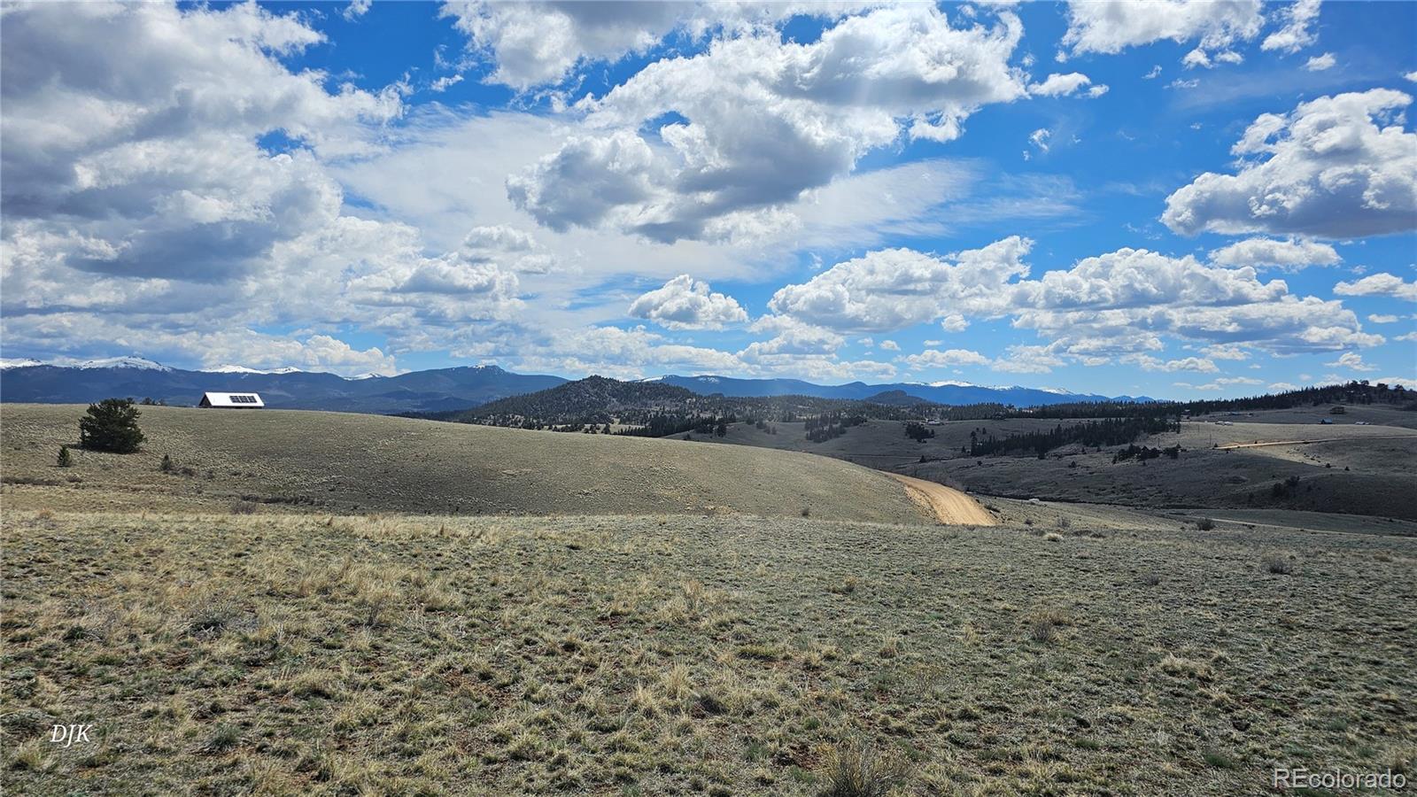 329 Albino Road Jefferson, CO 80456 - Photo 7 of 12 a view of dirt field with trees