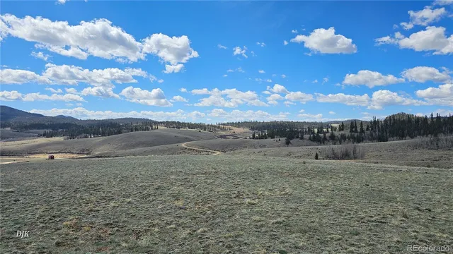 a view of a town with large trees