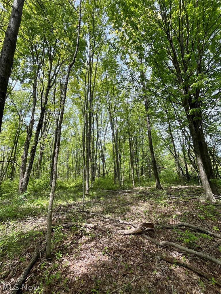 Bates Road Madison, OH 44057 - Photo 2 of 14