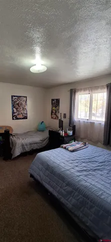 a bedroom with double bed and a large window