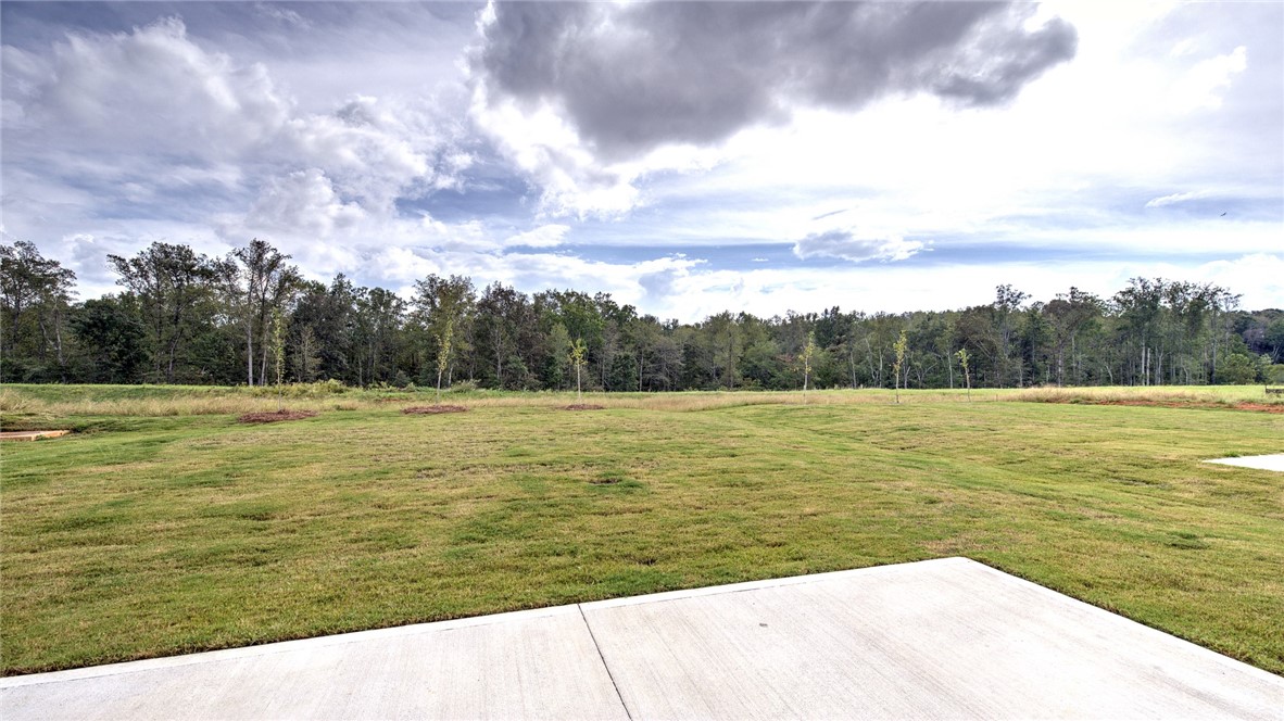 310 Millridge Road Piedmont, SC 29673 - Photo 3 of 39 Gallery Image 3