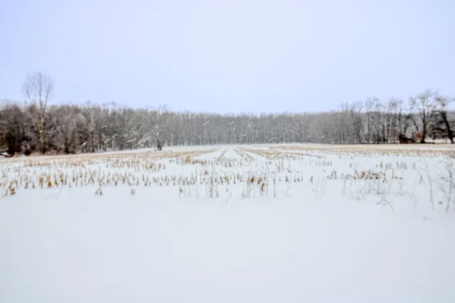 $475,000 | 8830 South 43rd Street, Scotts, MI 49088