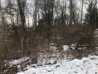 Williamson Road Meadville, PA 16335 - Photo 2 of 2 Gallery Image 2