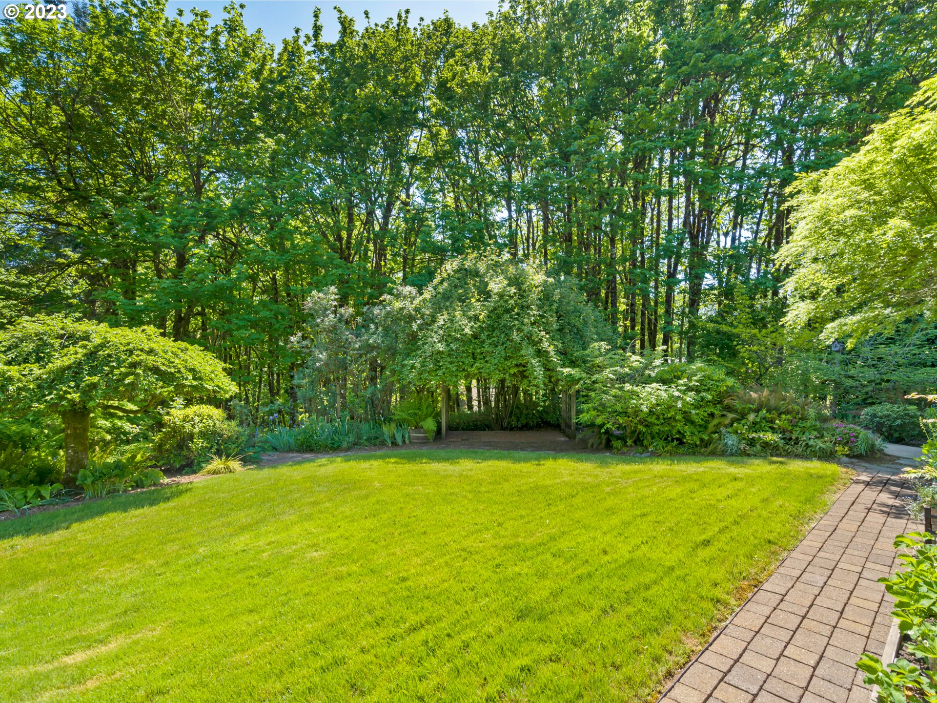 88601 Ermi Bee Road Springfield, OR 97478 - Photo 44 of 48 a view of a big yard with plants and large trees