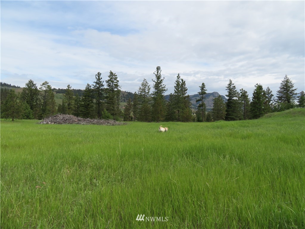 -tbd Tiffany Road Republic, WA 99166 - Photo 1 of 12 Gallery Image 1