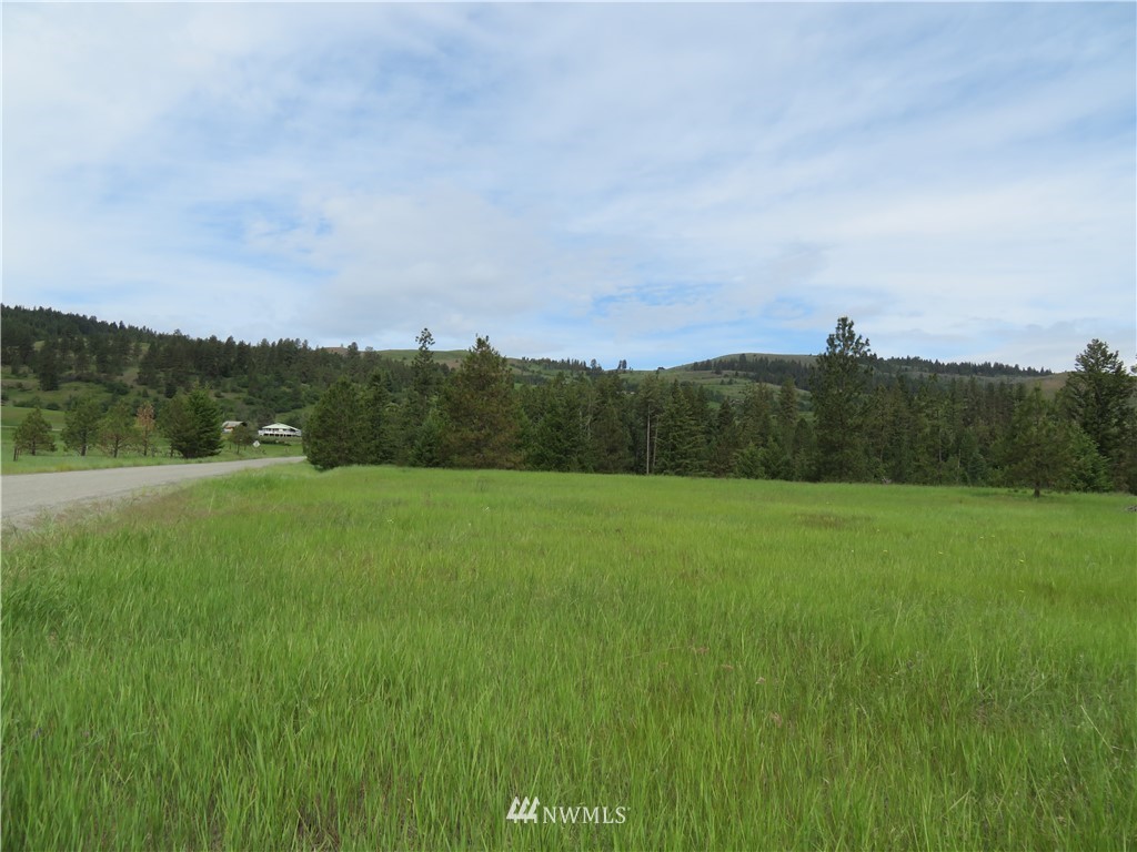 -tbd Tiffany Road Republic, WA 99166 - Photo 2 of 12 Gallery Image 2