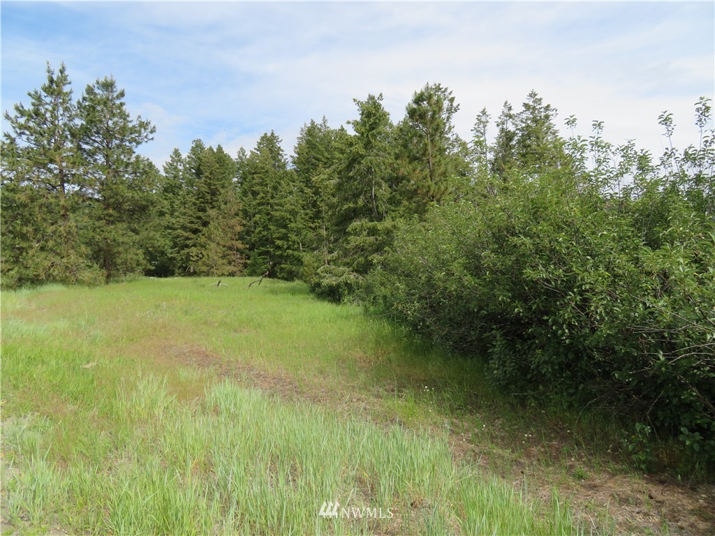 -tbd Tiffany Road Republic, WA 99166 - Photo 11 of 12 Gallery Image 11
