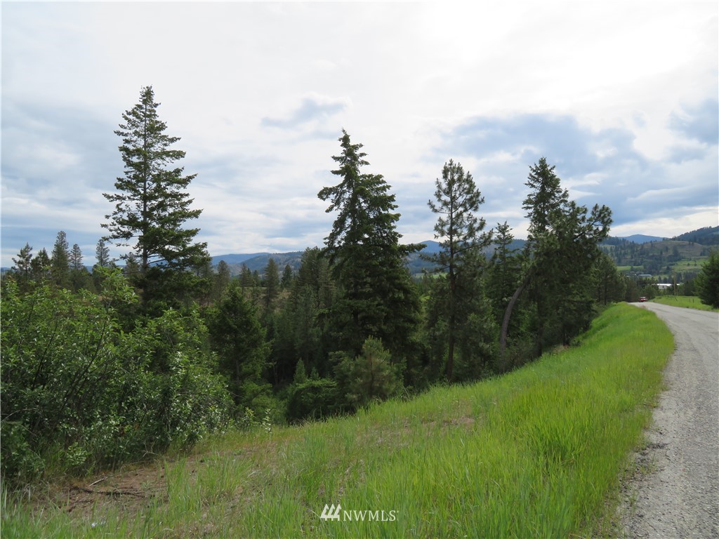 -tbd Tiffany Road Republic, WA 99166 - Photo 12 of 12 Gallery Image 12