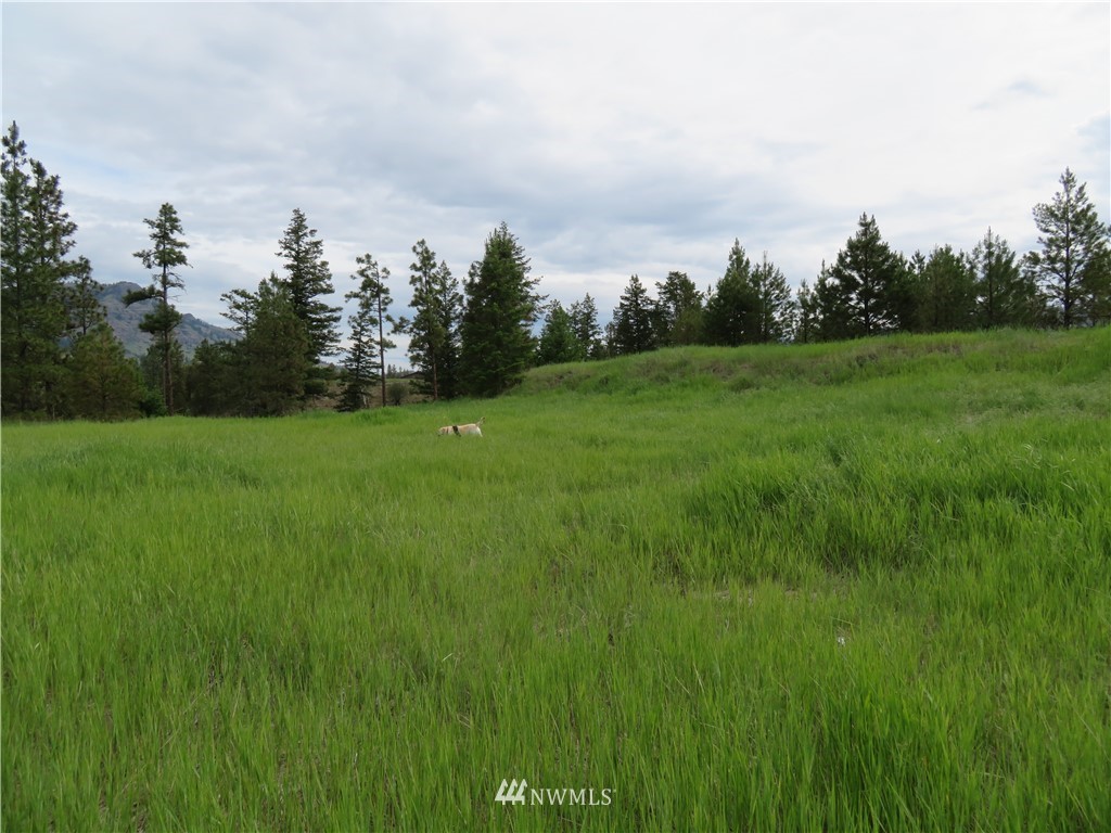 -tbd Tiffany Road Republic, WA 99166 - Photo 3 of 12 Gallery Image 3