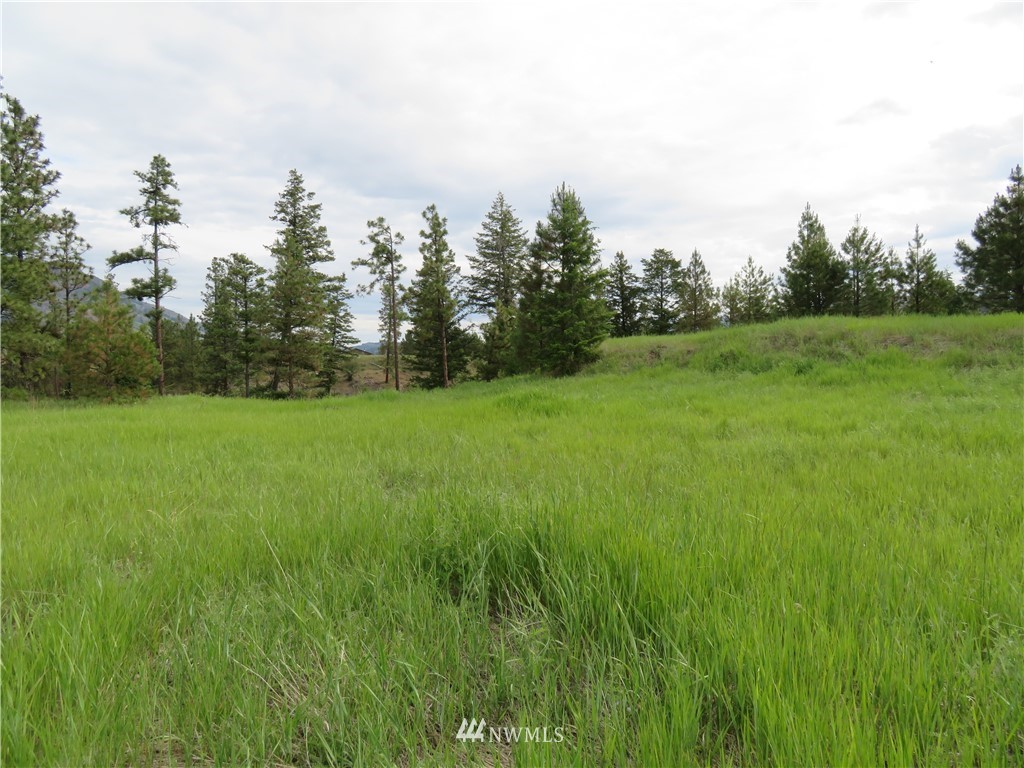-tbd Tiffany Road Republic, WA 99166 - Photo 4 of 12 Gallery Image 4