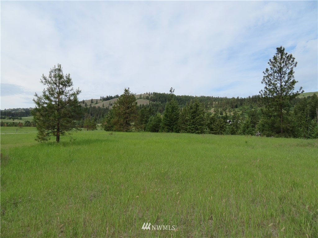 -tbd Tiffany Road Republic, WA 99166 - Photo 5 of 12 Gallery Image 5
